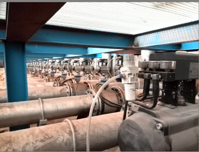 PP����(�й�)���Ź���