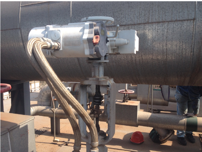 PP����(�й�)���Ź���