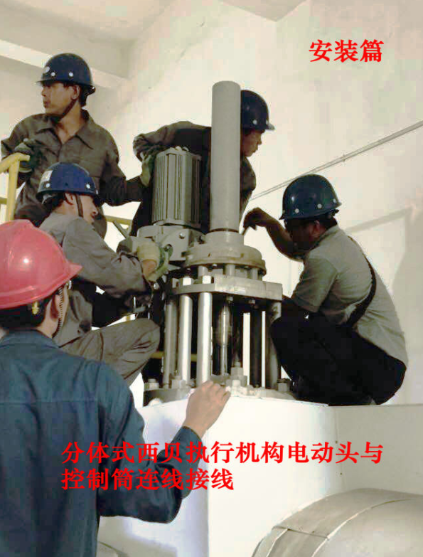 PP����(�й�)���Ź���