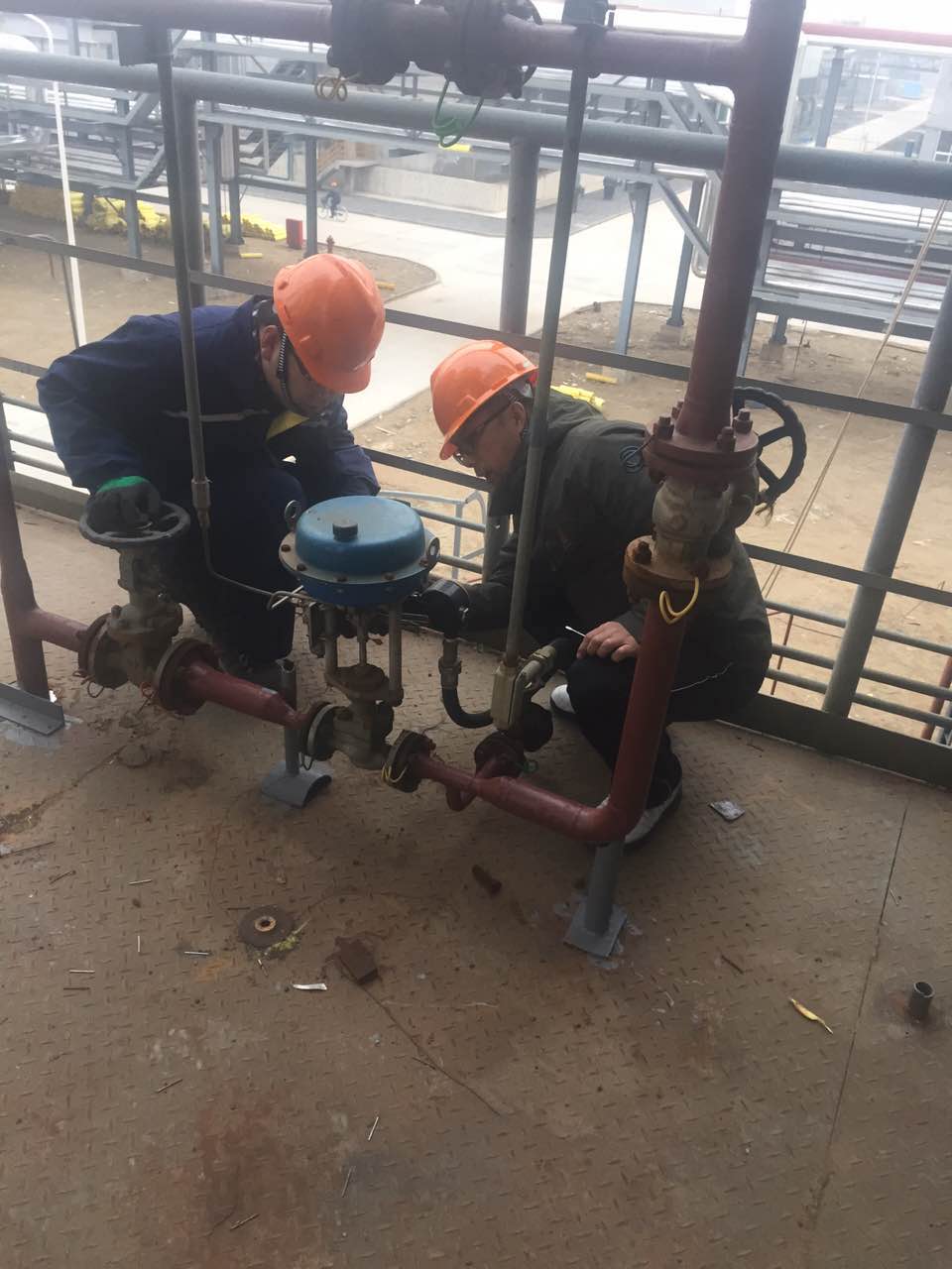 PP����(�й�)���Ź���