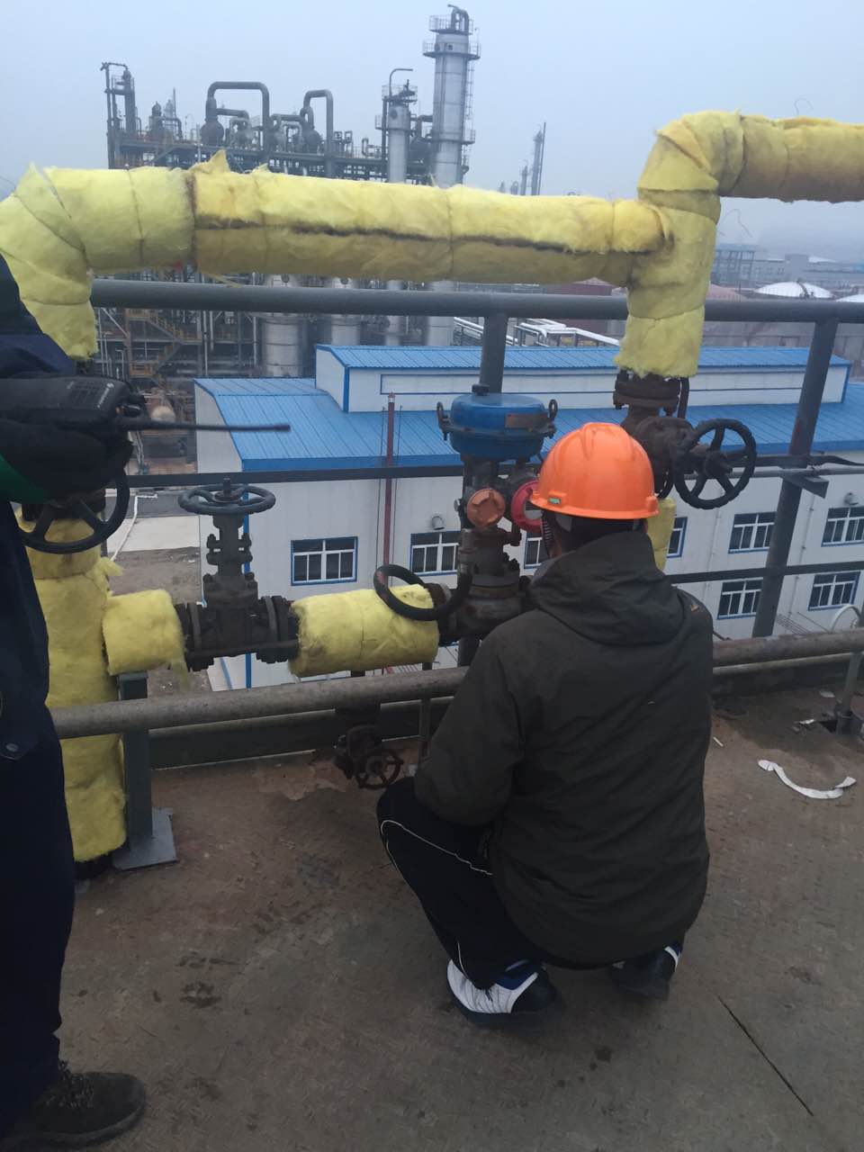 PP����(�й�)���Ź���