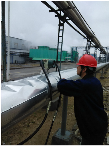 PP����(�й�)���Ź���