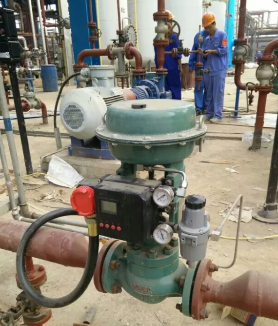 PP����(�й�)���Ź���