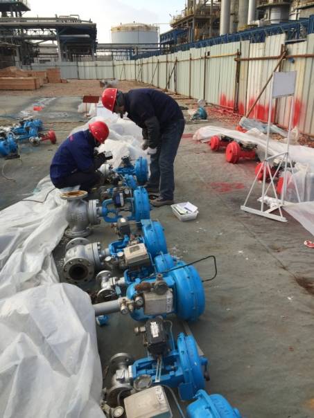 PP����(�й�)���Ź���