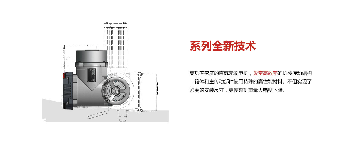 PP����(�й�)���Ź���