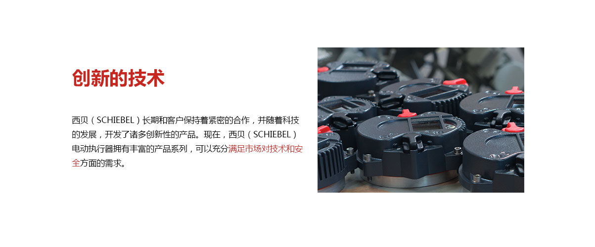 PP����(�й�)���Ź���