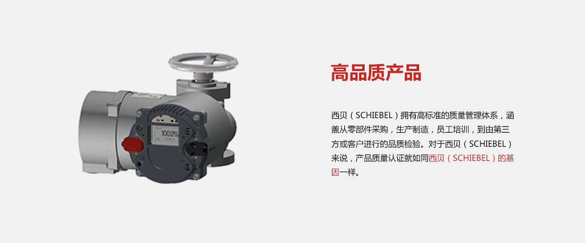 PP����(�й�)���Ź���