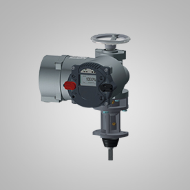 PP����(�й�)���Ź���