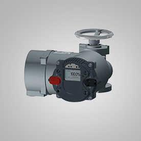 PP����(�й�)���Ź���