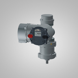 PP����(�й�)���Ź���