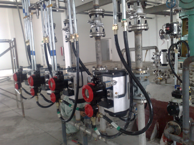 PP����(�й�)���Ź���