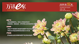 PP����(�й�)���Ź���