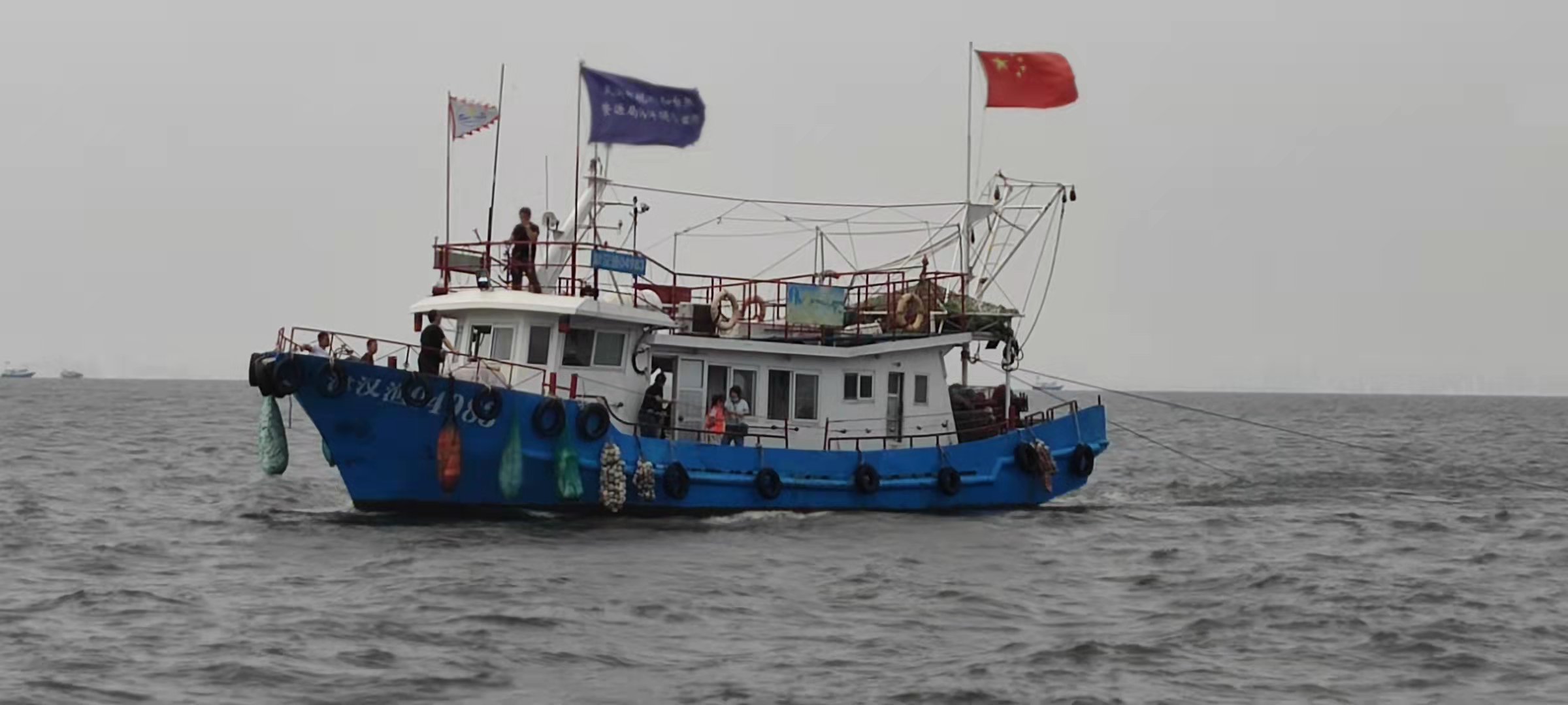 PP����(�й�)���Ź���