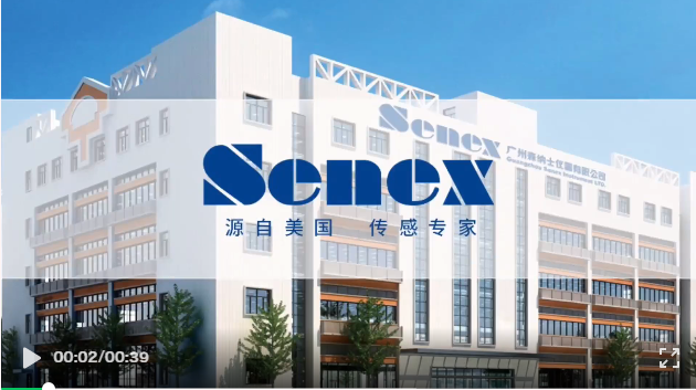 PP����(�й�)���Ź���