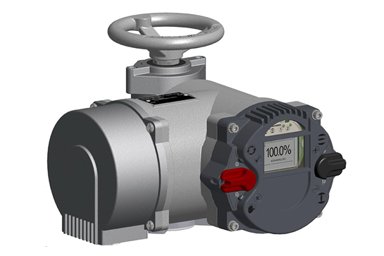 PP����(�й�)���Ź���