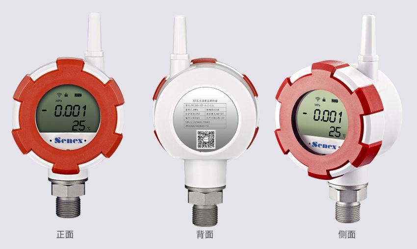 PP����(�й�)���Ź���