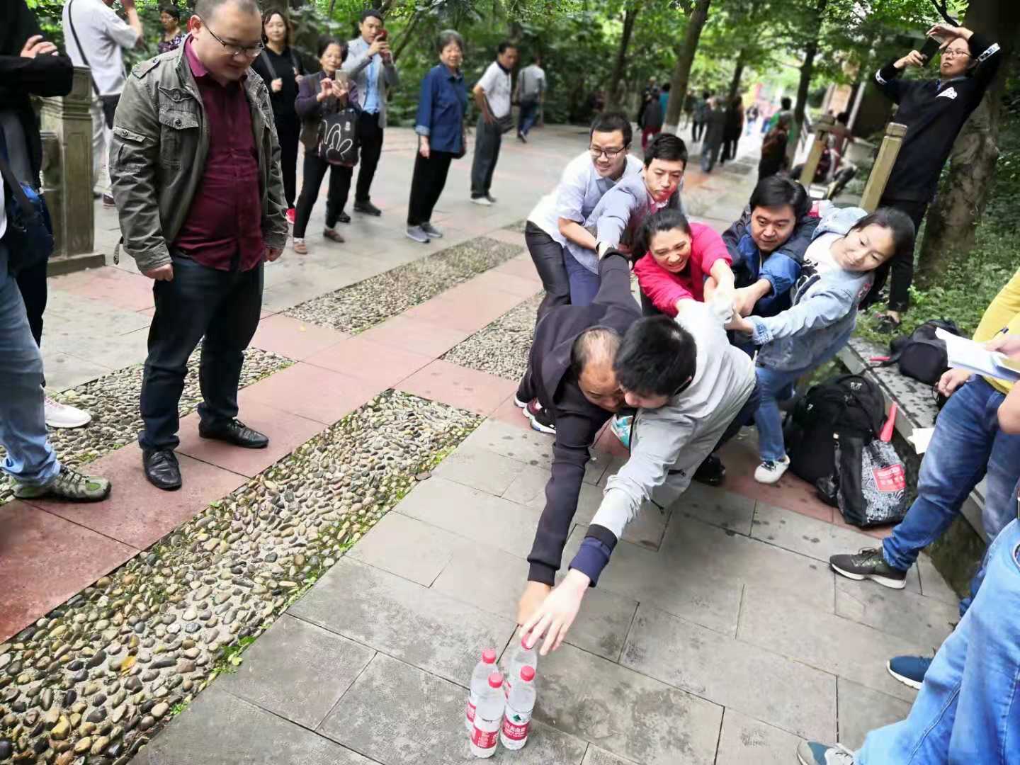 PP����(�й�)���Ź���