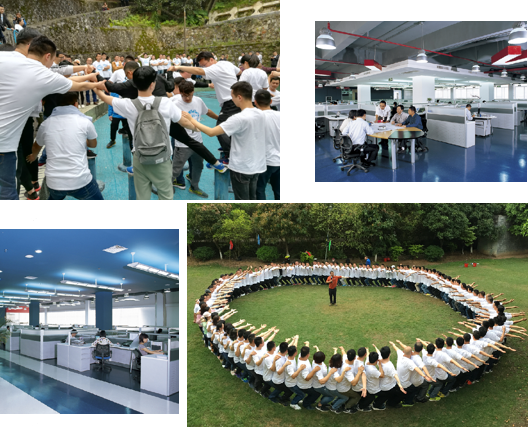 PP����(�й�)���Ź���