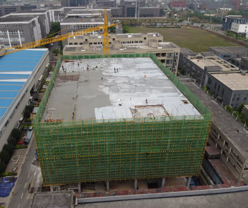 PP����(�й�)���Ź���