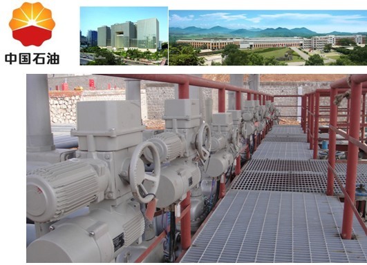 PP����(�й�)���Ź���