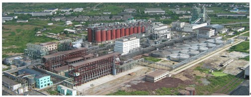 PP����(�й�)���Ź���