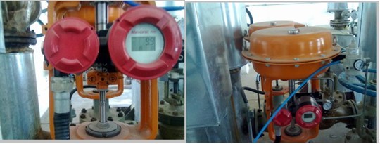 PP����(�й�)���Ź���