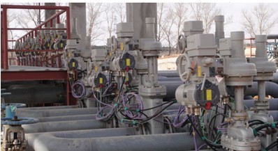 PP����(�й�)���Ź���