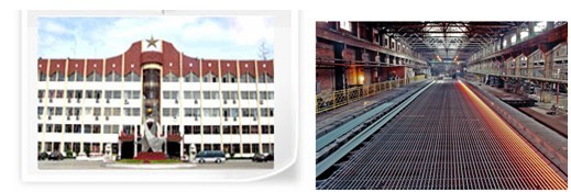 PP����(�й�)���Ź���