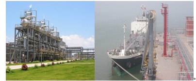 PP����(�й�)���Ź���