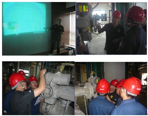 PP����(�й�)���Ź���